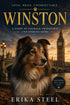 Winston: A Heartwarming Rainbow Bridge Story | Digital Children’s Picture Book (PDF) Amazing Fantasy Art